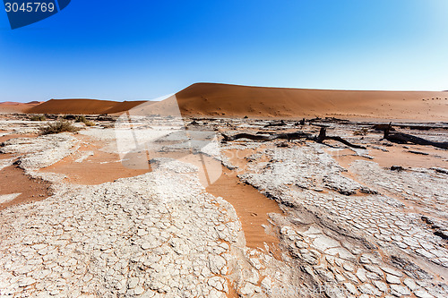 Image of Sossusvlei beautiful landscape of death valley