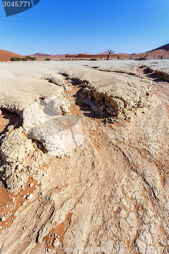 Image of Sossusvlei beautiful landscape of death valley