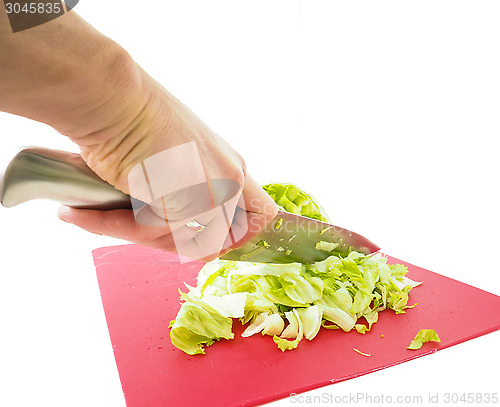 Image of Hand cutting fresh green lettuce salad with grey metal knife on 