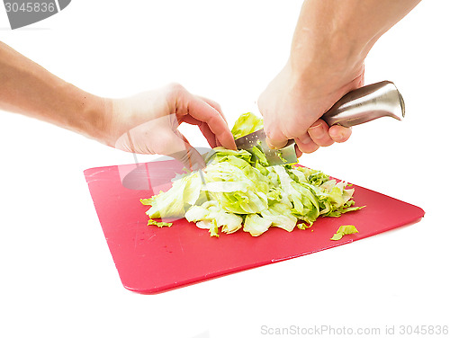 Image of Hands cutting fresh green lettuce salad with grey metal knife on