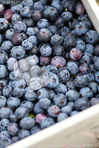 Image of Case of Blueberries