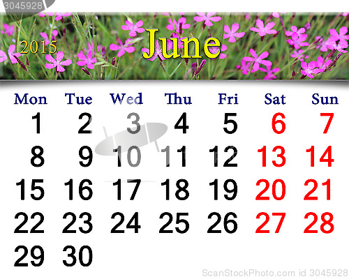Image of calendar for July of 2015 year with wild carnation