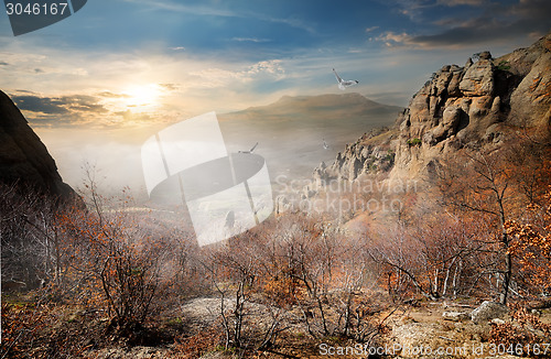 Image of Birds over autumn rocks