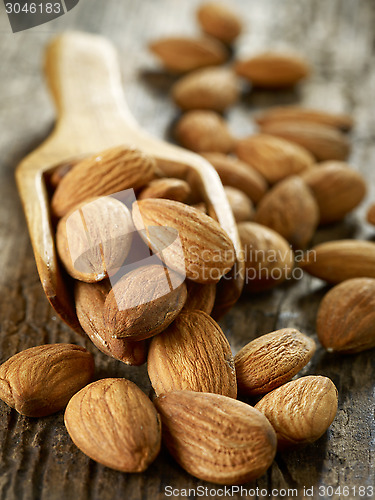 Image of almond nuts