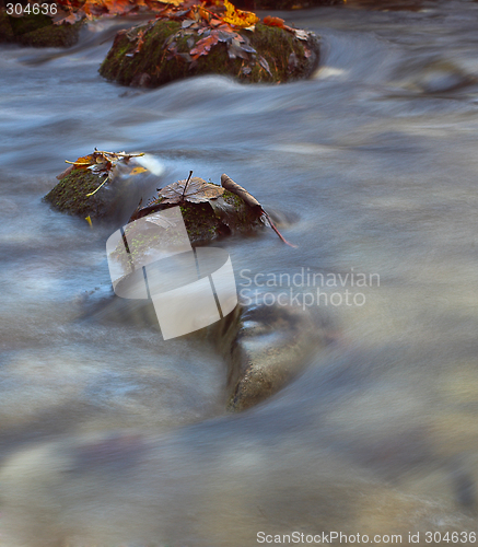 Image of Rocks in a stream