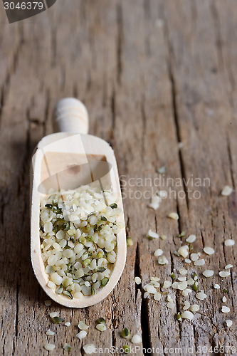 Image of hemp seeds