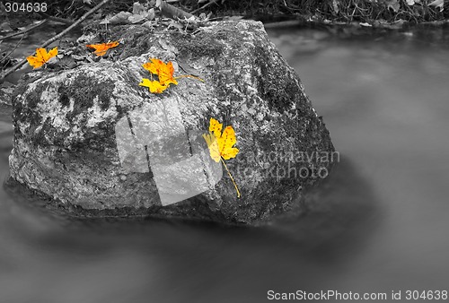 Image of Rocks in a stream