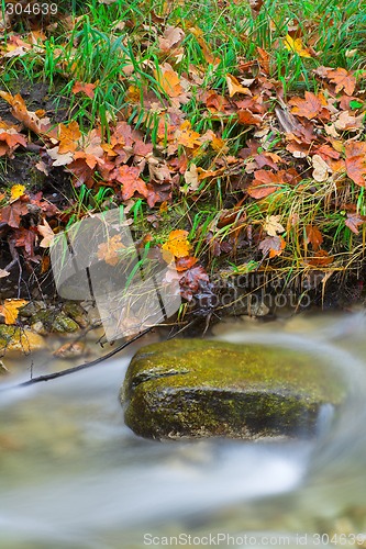 Image of Rocks in a stream