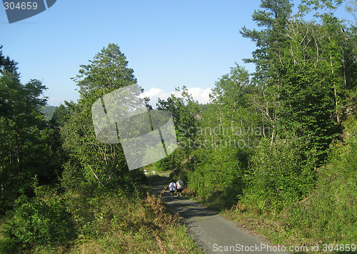 Image of Walking in the forest, Vestfold, Norway