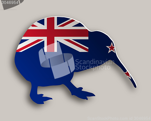 Image of Kiwi on gray