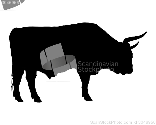 Image of Aurochs on white