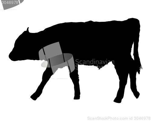 Image of Aurochs on white