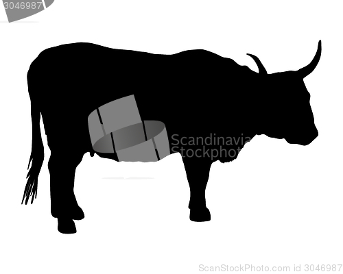 Image of Aurochs on white