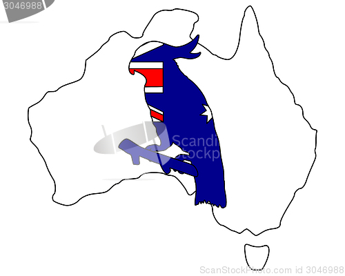 Image of Australian cockatoo