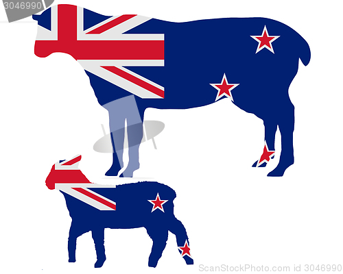 Image of New Zealands sheeps