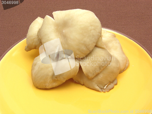 Image of Oyster mushrooms on ceramic plate on brown