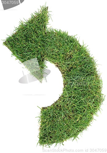 Image of Undo Grass Arrow