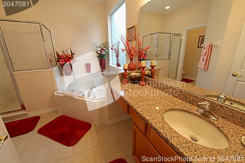 Image of Master Bathroom