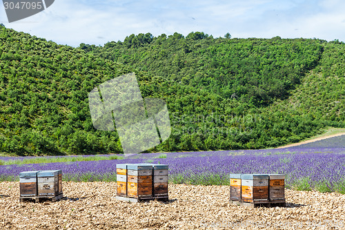 Image of Beehive close to lavander field