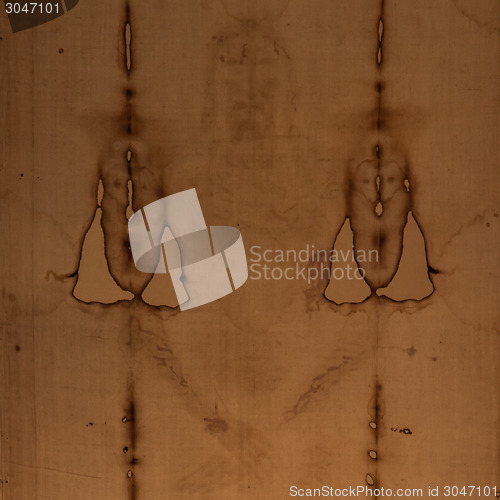 Image of The Holy Shroud