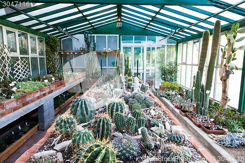 Image of Cactus greenhouse