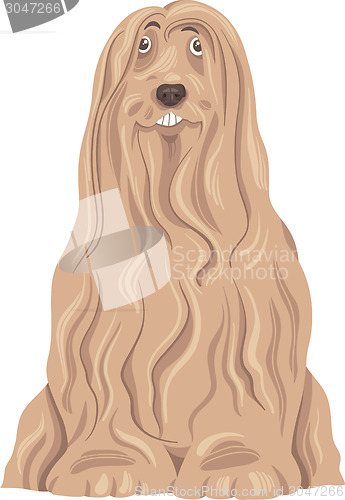 Image of bearded collie dog cartoon