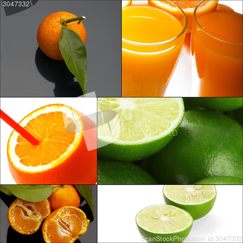 Image of citrus fruits collage