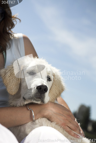 Image of dog close up