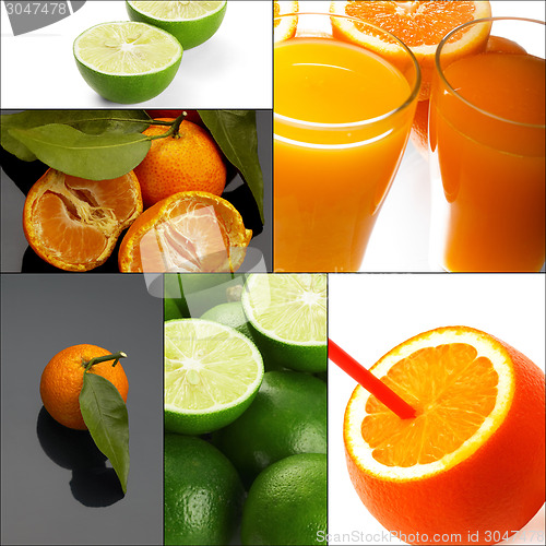 Image of citrus fruits collage