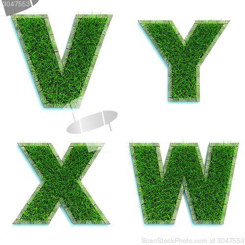 Image of Letters V, Y, X, W as Lawn - Set of 3d.