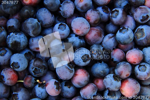 Image of fruits background (blueberries)