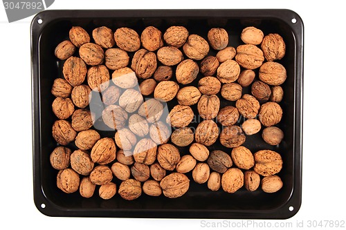 Image of walnuts background