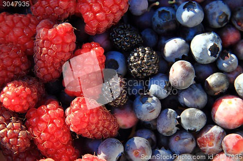 Image of fruits background (blueberries, raspberries, blackberries)