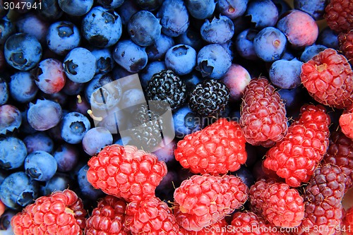 Image of fruits background (blueberries, raspberries, blackberries)