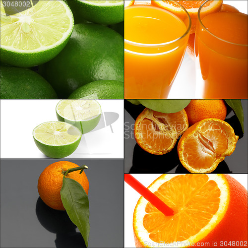 Image of citrus fruits collage