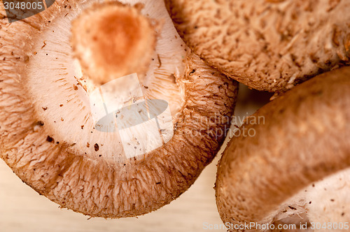 Image of shiitake mushrooms