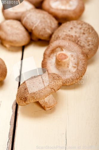 Image of shiitake mushrooms