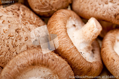 Image of shiitake mushrooms