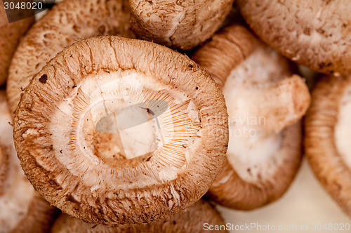 Image of shiitake mushrooms