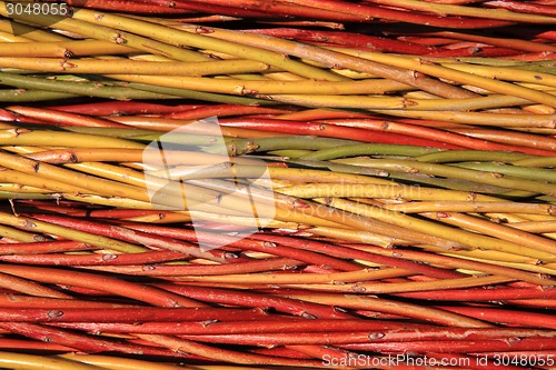 Image of czech easter rods background