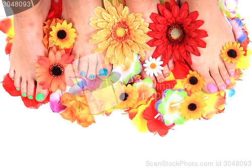 Image of women feet (pedicure)  with flowers