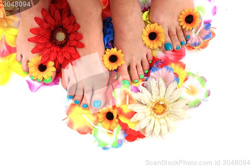 Image of women feet (pedicure)  with flowers
