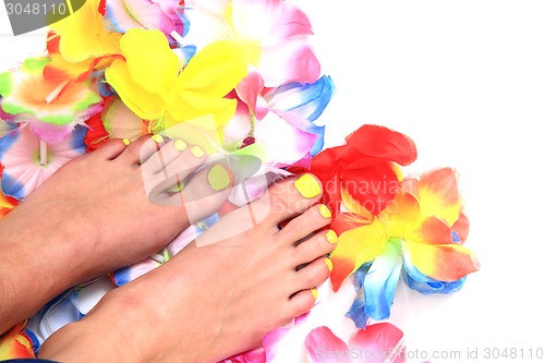 Image of women feet (pedicure)  with flowers