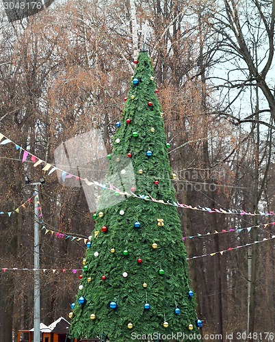 Image of Christmas tree