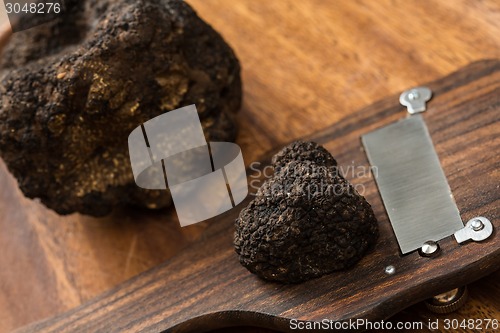 Image of delicacy mushroom black truffle 