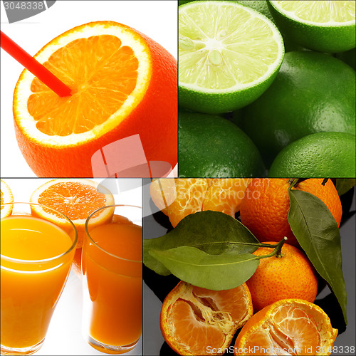 Image of citrus fruits collage