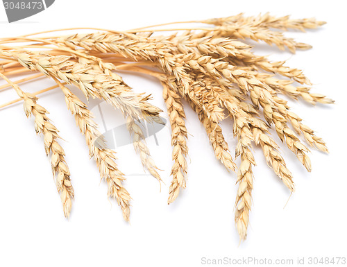 Image of wheat ears