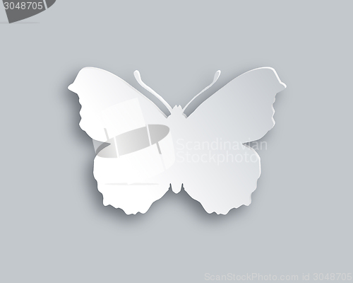 Image of White butterfly