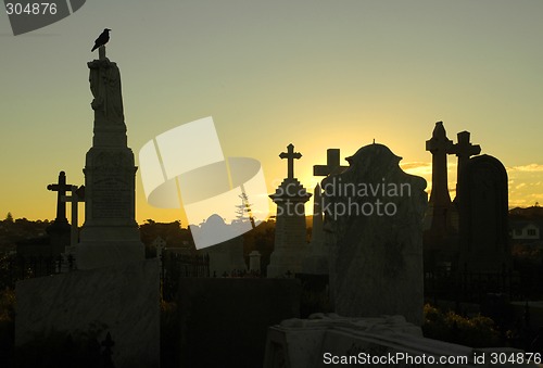 Image of crow at graveyard
