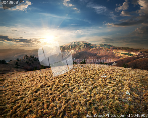 Image of Meadow in the Mountains